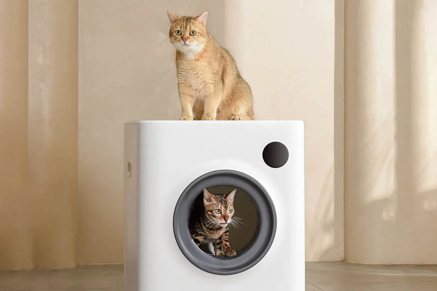 automatic cat box reviews
