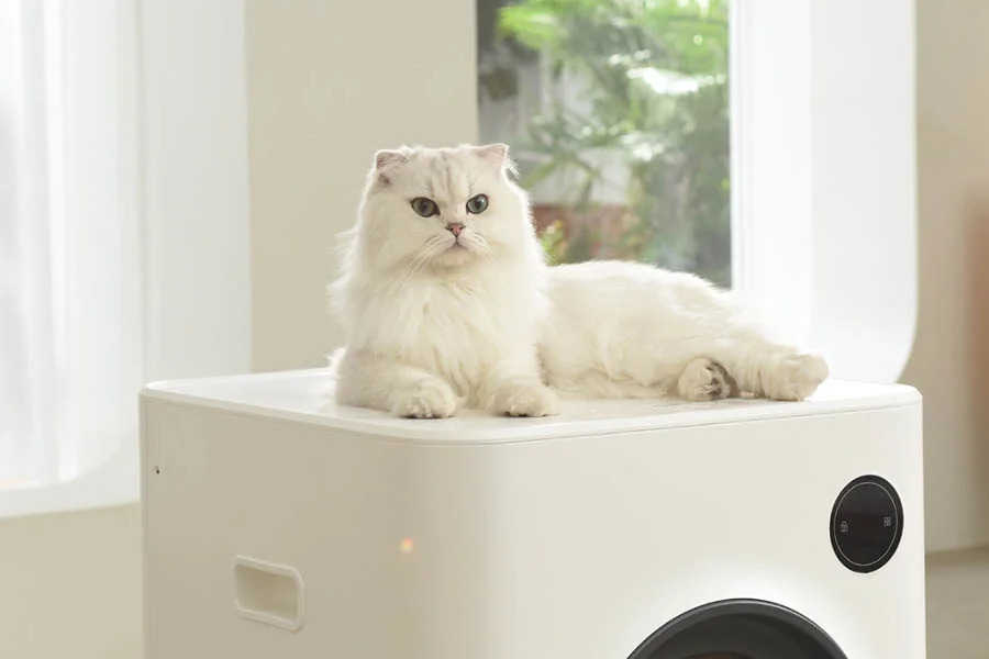 robot cat litter box