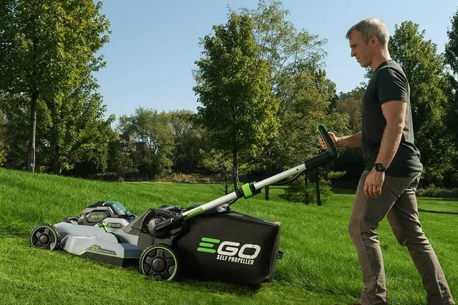 best cordless lawn